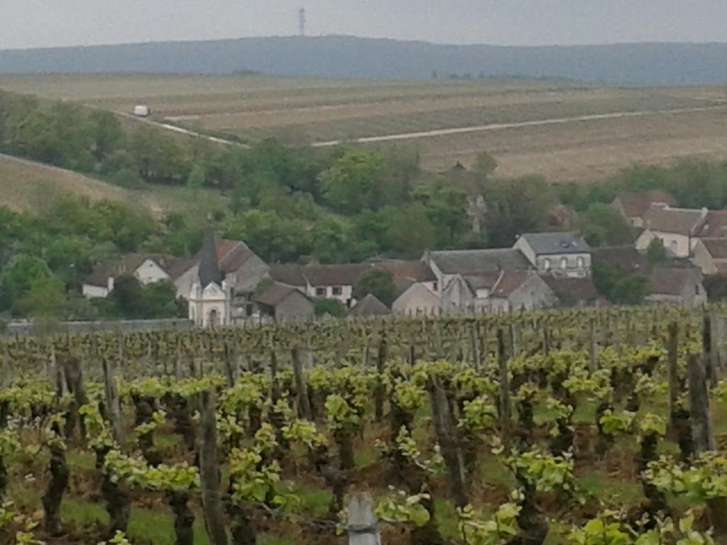 Le Clos Saint Martin Hotel Sancerre Eksteriør billede