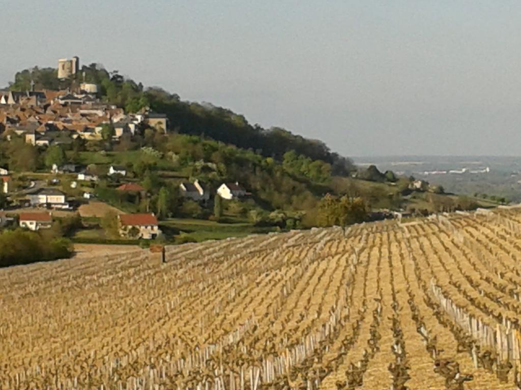 Le Clos Saint Martin Hotel Sancerre Eksteriør billede